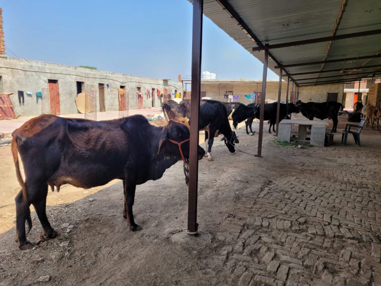 Ananda Gram, a village of bliss